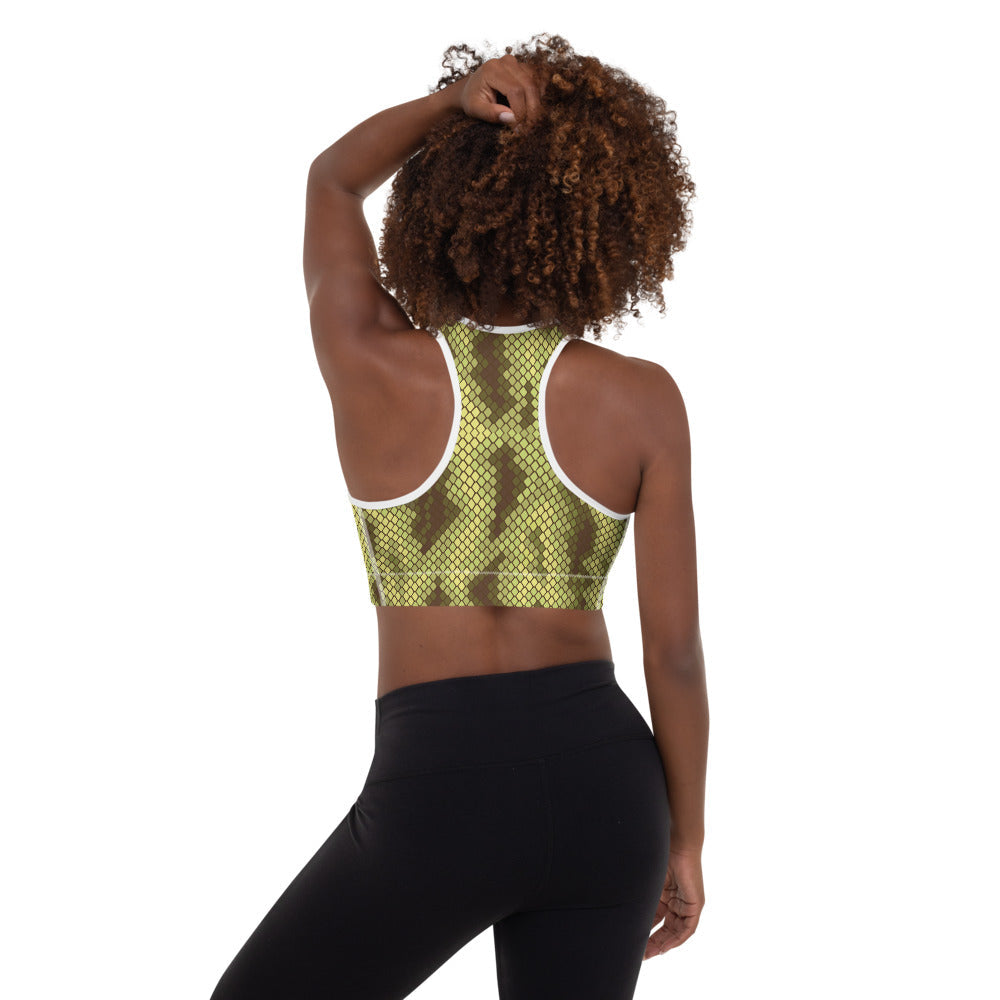 Slither Padded Sports Bra