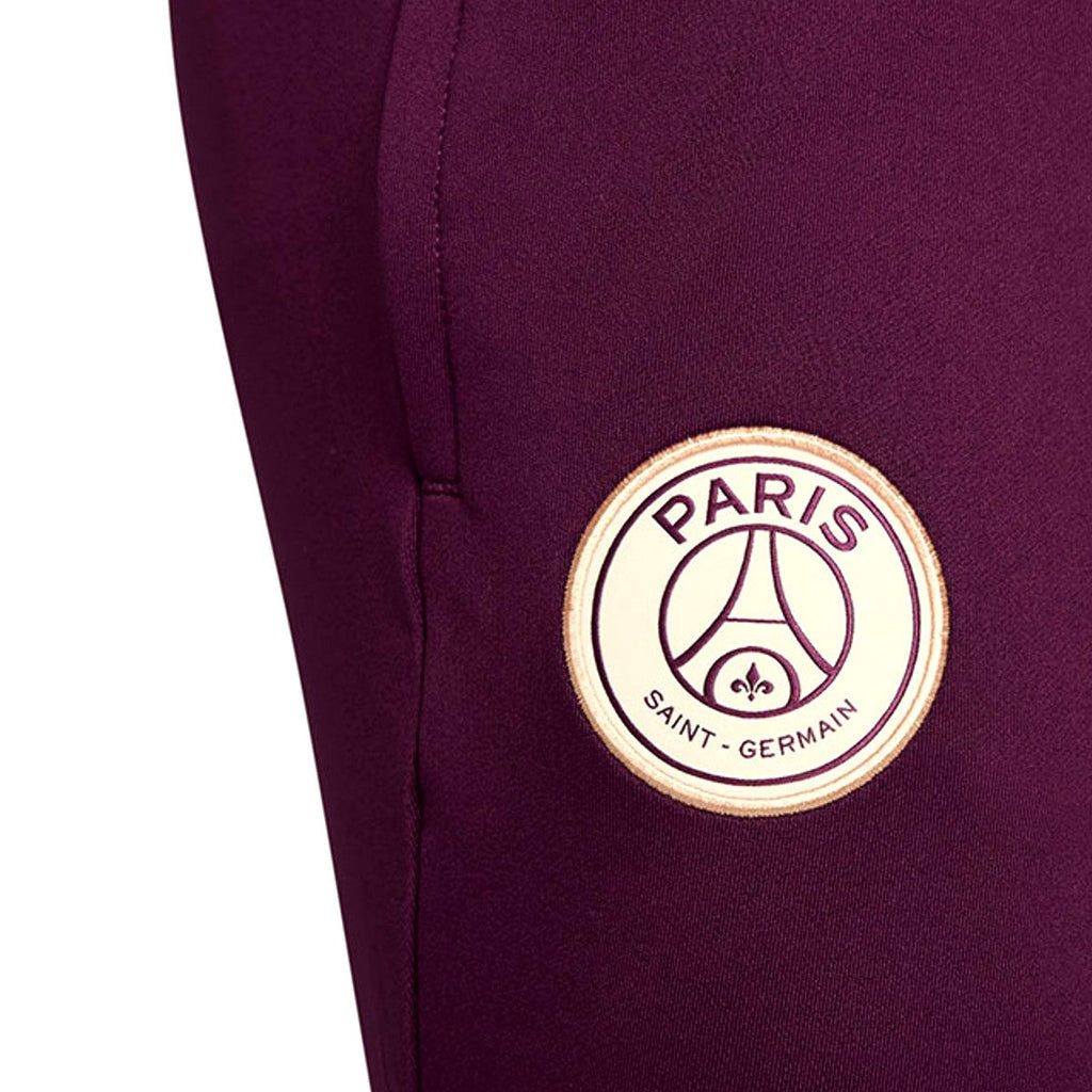 PSG dark red training technical soccer pants 2024/25 - Nike